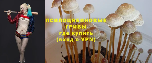 бутират Арсеньев